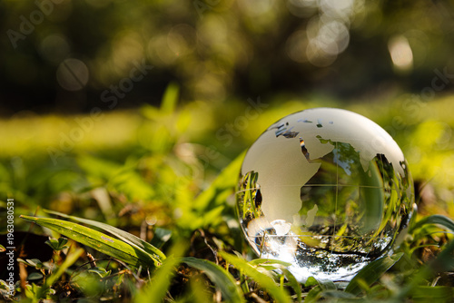 Fotografie World in Green: A crystal globe rests serenely upon a bed of vibrant green grass, encapsulating the essence of environmental preservation and the interconnectedness of our world