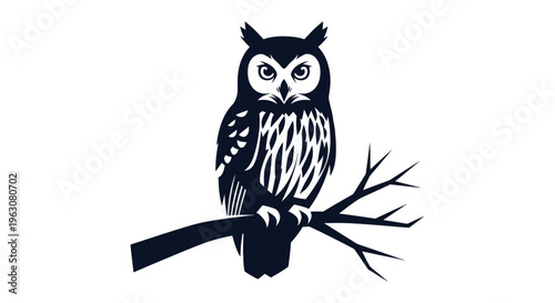 Black and white owl sitting still.