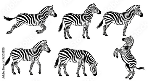 Zebras in various running poses.