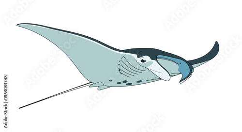 Large blue stingray swimming underwater ocean.