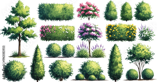 A comprehensive collection of illustrated garden plants, featuring various trees, hedges, and flowering bushes for landscaping projects.