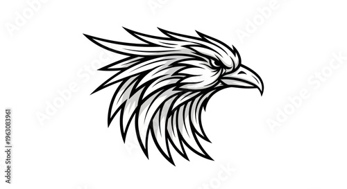 Detailed illustration of an eagle head.