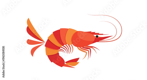 Colorful illustration of a shrimp.