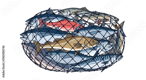Fish caught in a fishing net.