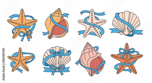 Colorful seashells and starfish illustrations.