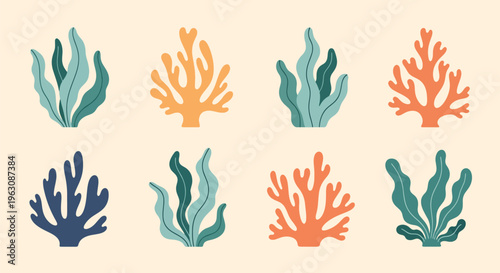 Colorful coral reef elements in various shades and styles