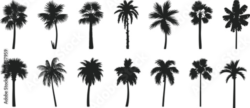 Tropical Palm Tree Silhouette Collection Featuring Various Exotic Species Including Coconut Date and Fan Palms for Summer Vacation Beach Landscape and Island Resort Travel Design Graphics
