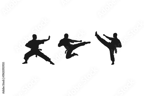 Action silhouettes of kungfu monk martial artists performing kicks and punches
