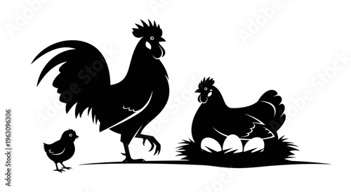 Rooster hen and chick family on a farm in silhouette.