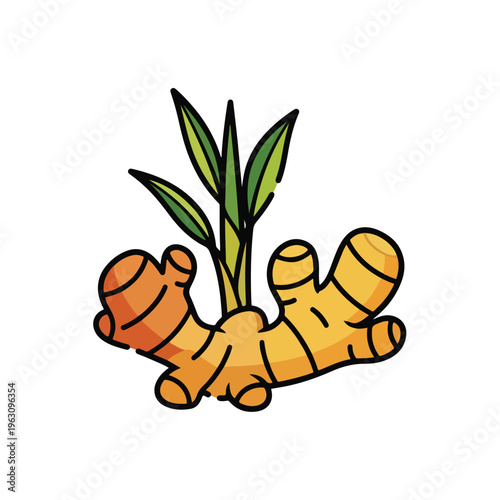 Fresh Turmeric Root with Green Leaves.