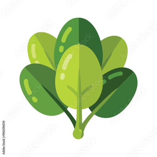 Green leafy plant with oval leaves.