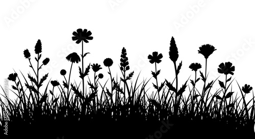 Silhouettes of various wild flowers and grass in a meadow.