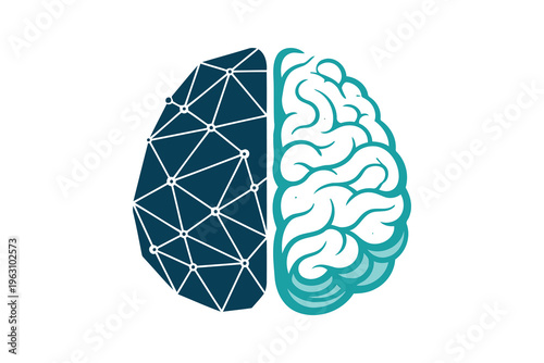 A brain divided into neural network and organic brain hemispheres showcasing modern technology and human cognition fusion Vector
