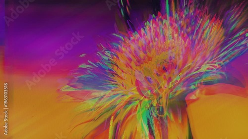 Psychedelic floral glitch with chromatic aberration and wave warp distortion pulsing on yellow background. Animated glitchy flower texture for summer festival flyer and rave poster design.