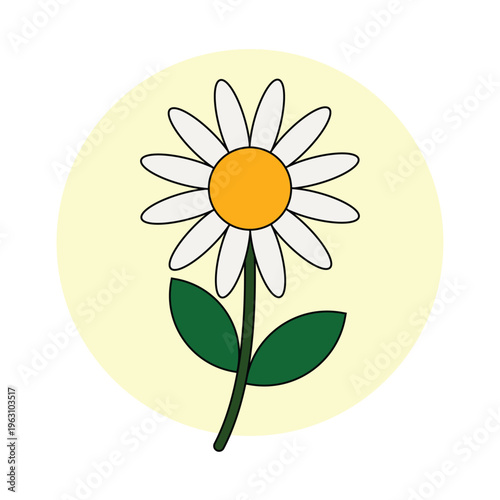 Yellow daisy flower illustration on green and white background with floral nature design