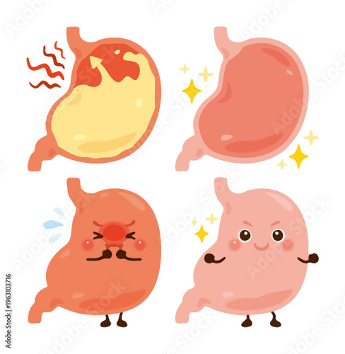 Happy Healthy Gut Digestive System Vector Illustration