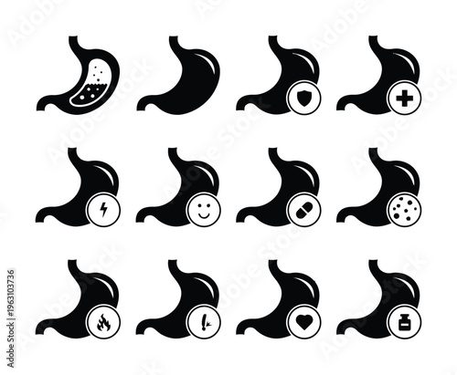 Stomach Anatomy Icons Vector Illustration