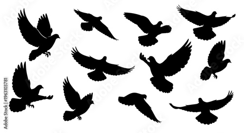 Silhouettes of flying birds in various dynamic poses.