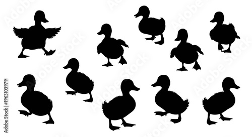 Collection of various duck silhouettes in different poses.