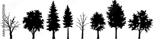 Tree Silhouette Vector Collection Isolated on White Background
