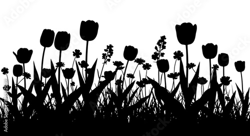 Silhouette of various flowers and grass in a field.