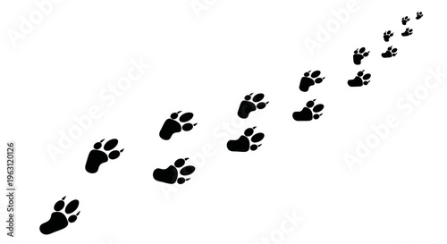 Black animal paw prints walking across a white background.