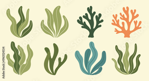 Collection of colorful seaweed and coral reef elements in various shades