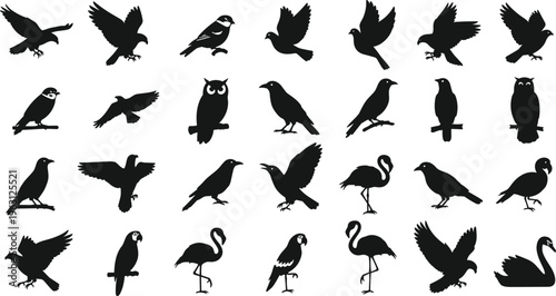 Bird Silhouette Collection Featuring Various Species Including Owl Crow Flamingo Swan and Eagle in Different Poses for Wildlife Nature Design Projects.
