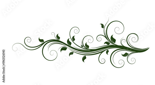 Elegant Green Vine Swirls with Leaves Decorative Element.