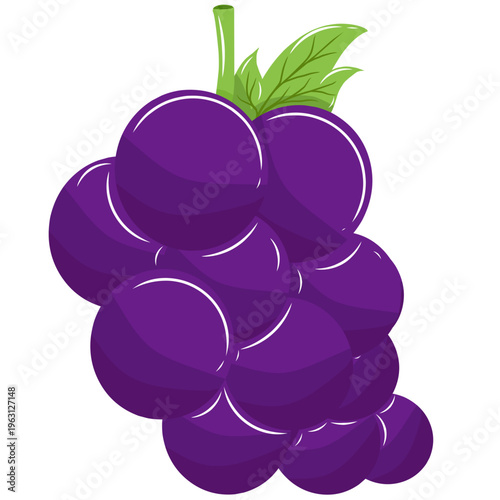 bunch of grapes  Purple Grapes Illustration