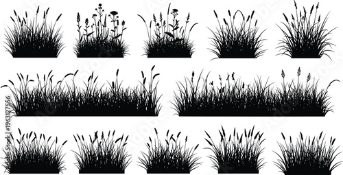 Grass and wild plants silhouette set, natural meadow vegetation vector collection isolated on light background for landscape design, gardening, ecology, and decorative nature elements