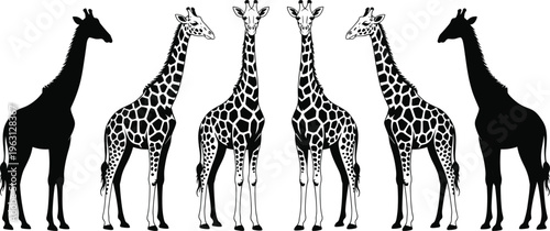 Set of giraffe silhouettes and patterned giraffe illustrations isolated on light background, African wildlife animal collection for safari, nature, zoo, and design projects