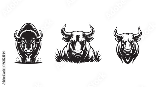 Three bull heads with horns on white background, black and white color, graphic style.