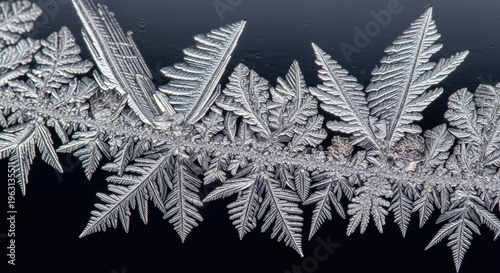 Intricate Ice Crystals on Black Background.