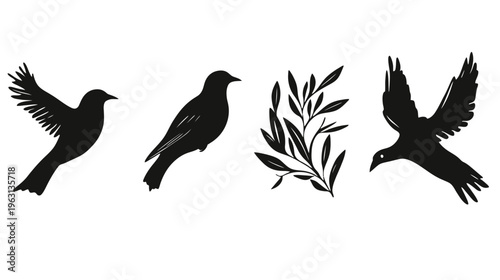 Silhouettes of birds in various poses alongside a plant with leaves. Monochrome with stark contrasts