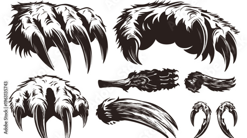Black and white illustration of various animal claws and paws, each with sharp claws