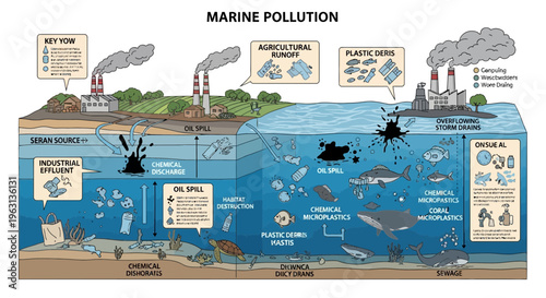 Marine Pollution Infographic Showing Ocean Contamination Causes