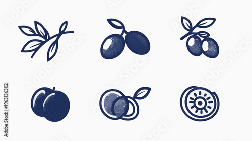 Collection of stylized, textured illustrations of fruit and botanical elements, in various configurations