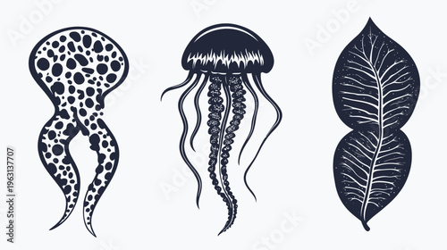 Three illustrative dark ink drawings, featuring an octopus, jellyfish, and leaves