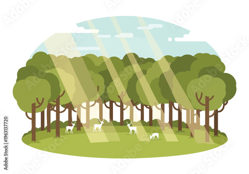 Sunlight filtering through a lush forest canopy onto a clearing with several deer grazing peacefully