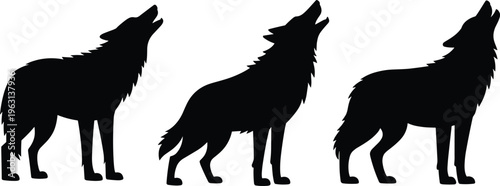 Wolf silhouettes vector set with howling standing poses wild animal wildlife isolated black shapes illustration collection nature design