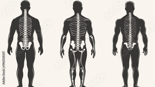 Silhouetted skeletal structures overlaid on human forms, presenting medical, anatomical visualizations