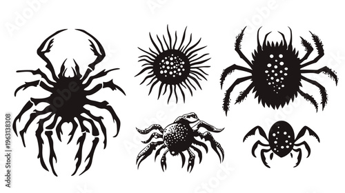 Black and white illustration featuring five different spider silhouettes, isolated on white background