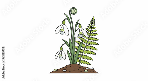 Delicate snowdrops and a fern frond unfurl from rich soil