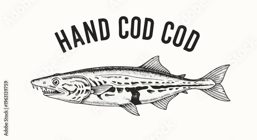 Detailed illustration of a cod fish with the words "HAND COD COD" above it