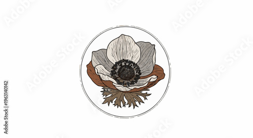 Delicate anemone flower illustration with detailed petals and sepals in a circle
