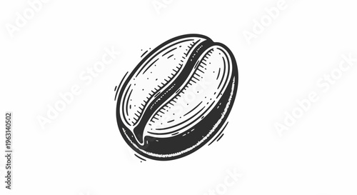 Detailed black and white illustration of a single coffee bean