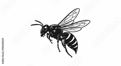 Detailed black and white illustration of a wasp in flight, isolated on white