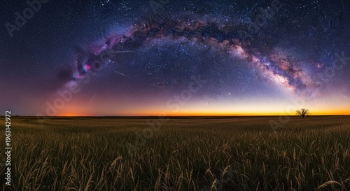 Milky Way Galaxy over Field Landscape.