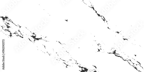 A grunge illustration featuring black ink splashes and splat textures with flying liquid drops on white paper for a dirty paint design pattern